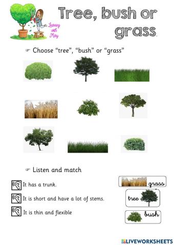 Tree, bush or grass