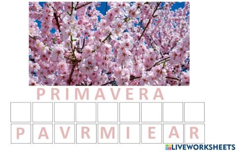 Primavera