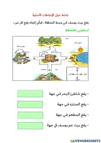 المخطط والاتجاهات