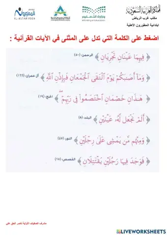 التعرف على الكلمات الدالة على المثنى . ناصر الحق علي