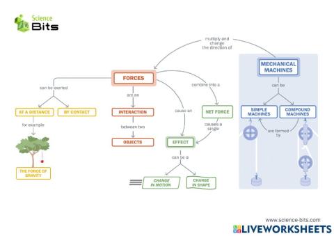 Forces science bits unit 3