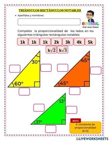 Triángulos rectángulos notables