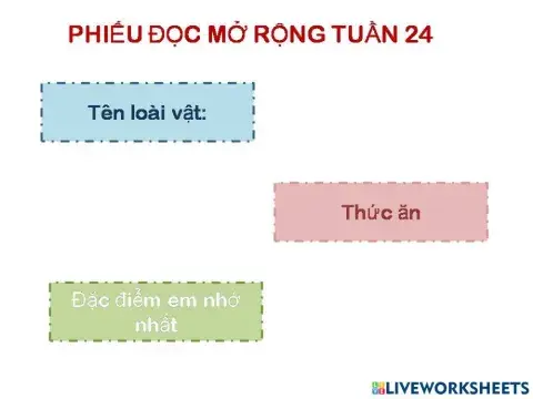 Đọc mở rộng t24