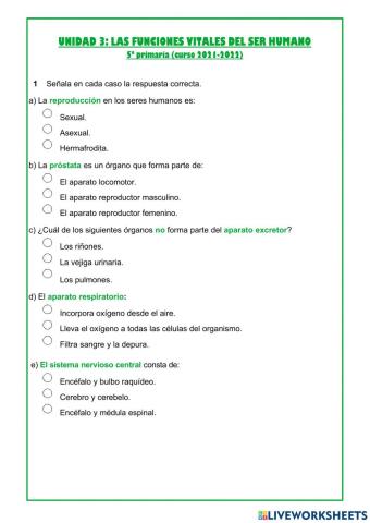 Las funciones vitales del ser humano