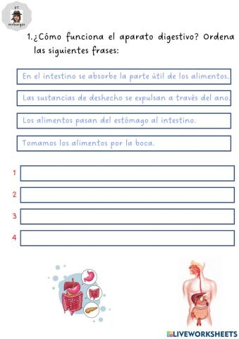 Sistema digestivo y respiratorio