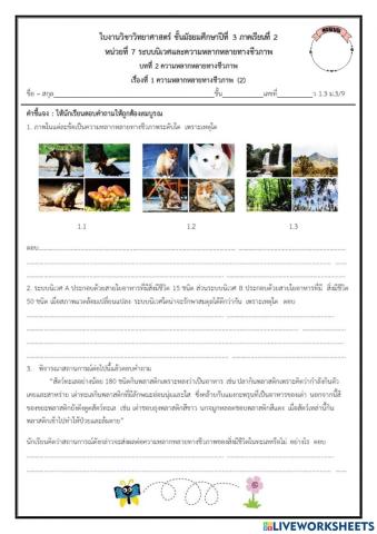 แบบฝึกหัดท้ายบท