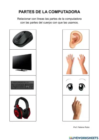 Partes de la computadora