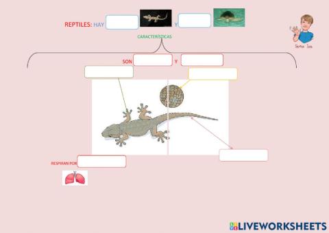 Características de los reptiles