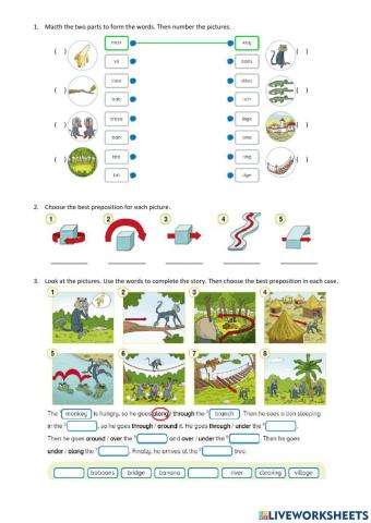 Prepositions and forest vocab