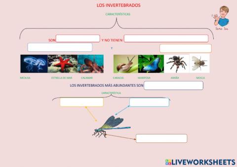 Los invertebrados