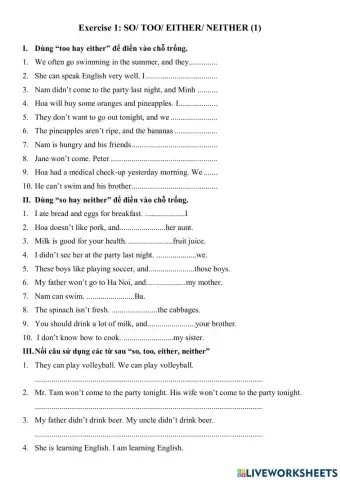 Ex 1 - Unit 12 (so,too, either, neither)