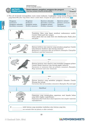 2.1 Aliran tenaga dalam ekosistem
