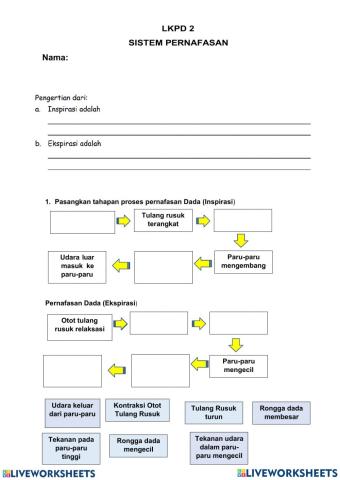 Lkpd 2 sistem pernapasan