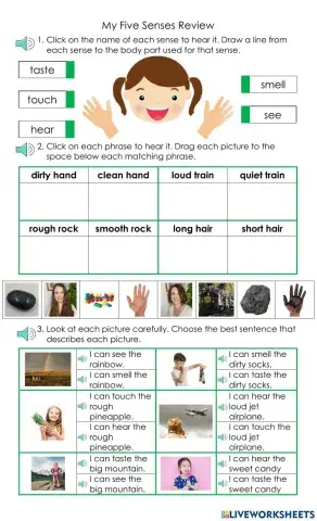 My Five Senses Review