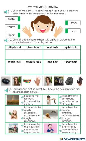 My Five Senses Review