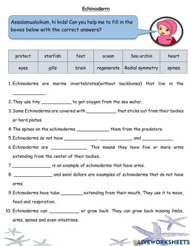 Animals without backbones