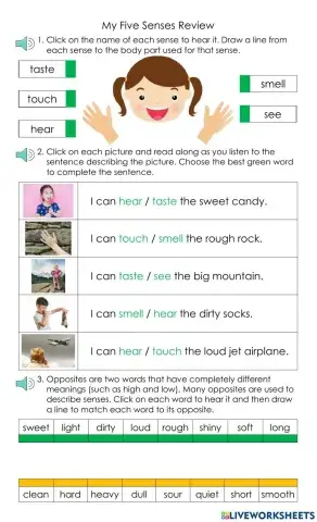 My Five Senses Review