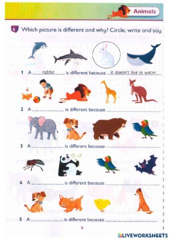 Idict 2-Unit 1-Lesson 12