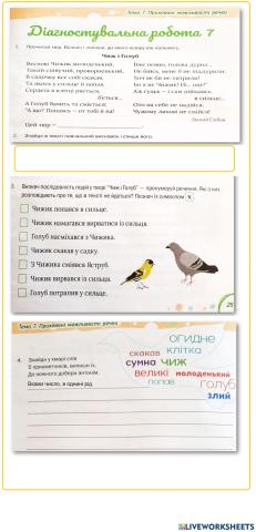 Діагностувальна робота з української мови 7