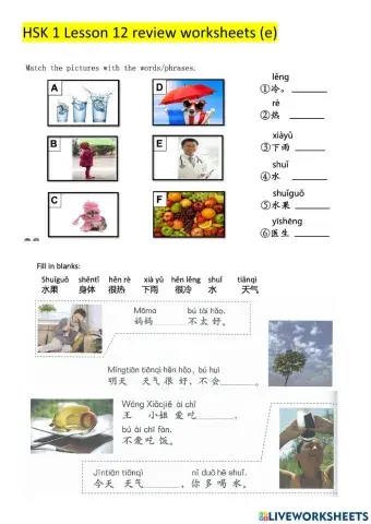 HSK 1L12 review worksheers (e)