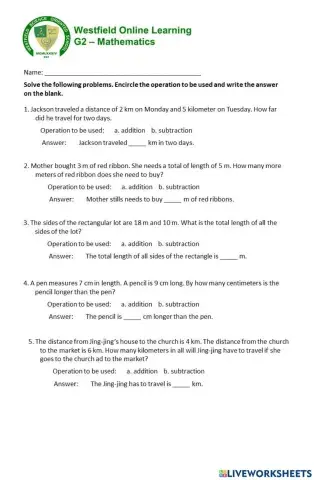 Problem Solving Involving Linear Measurements