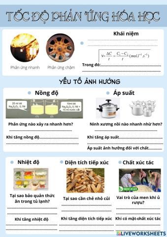 Tốc độ phản ứng