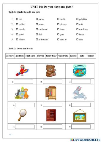 Vocab. and Gramm. Unit 16 Do you have any pets (E3)