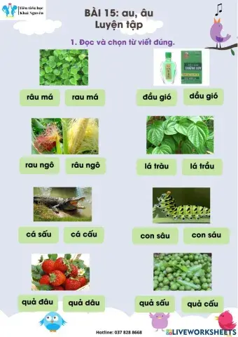 Bài 15 au, âu - Luyện tập