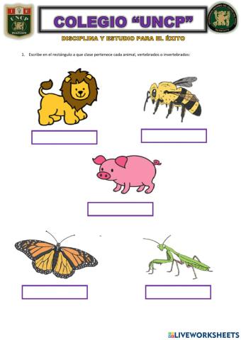 Animales vertebrados e invertebrados