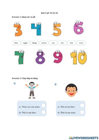 Bài tập tuần 25