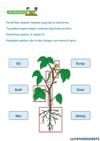Tema 7 subtema 3 pembelajaran 2