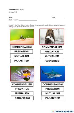 Ecological Relationships