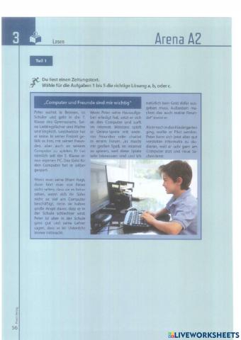 Leseverstehen.Test3