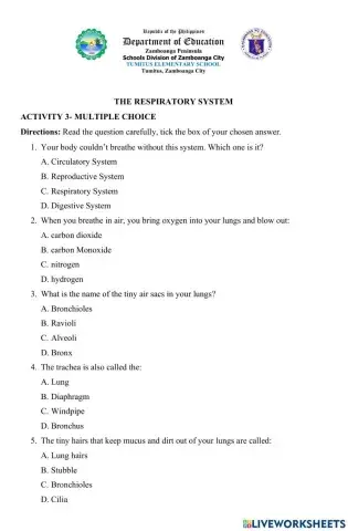 The Respiratory System