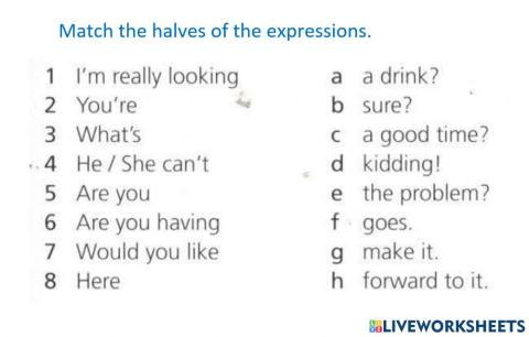 Useful Expressions
