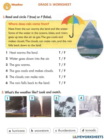 Big science : weather