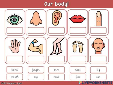 Our body! - Drag and drop