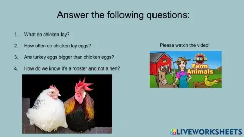 Answer the questions about the video