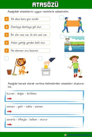 Türkçe Atasözleri Etkinlik