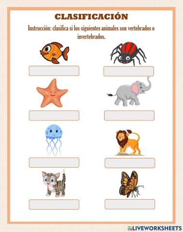 Clasificación invertebrados o vertebrados
