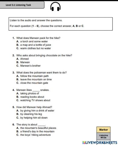 Level 3.1 Listening Task