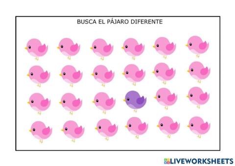 Diferencias pajaros morados