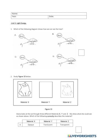 Light Energy (Test 5)