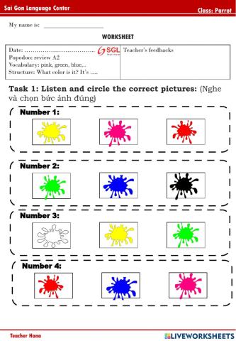 Parrot (A2 - red, blue, green, yellow)