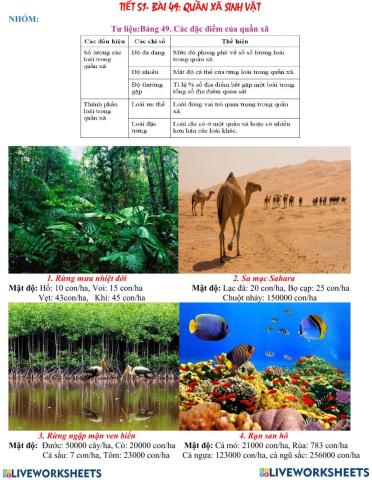 Bai 49 QUAN XA SINH VAT