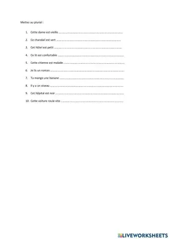 Mettez au pluriel niveau 3