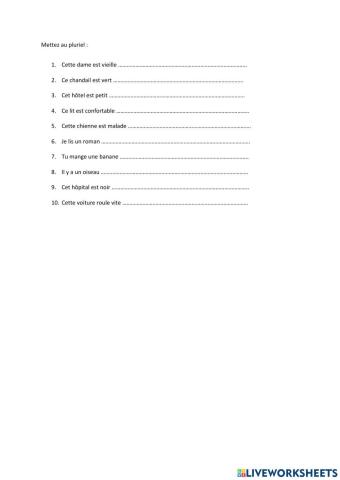 Mettez au pluriel niveau 3