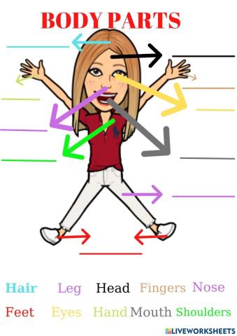 Body Parts