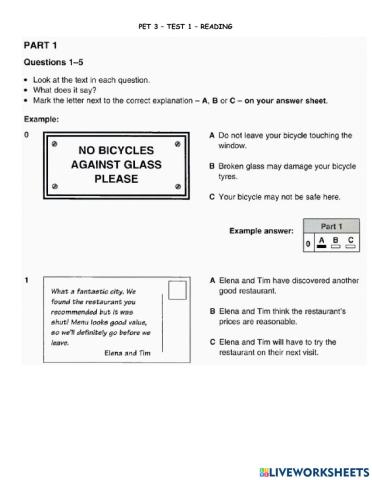 Pet 3 - test 1