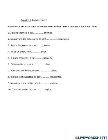 Adjectifs possessifs complet 1